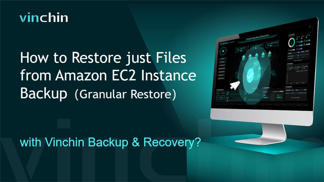 How to Restore just Files from Amazon EC2 Instance Backup （Granular Restore） with Vinchin Backup & Recovery?